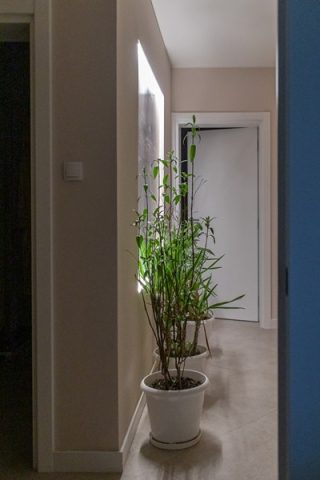 Sopstvene fotografije u domu kao iskušenje...